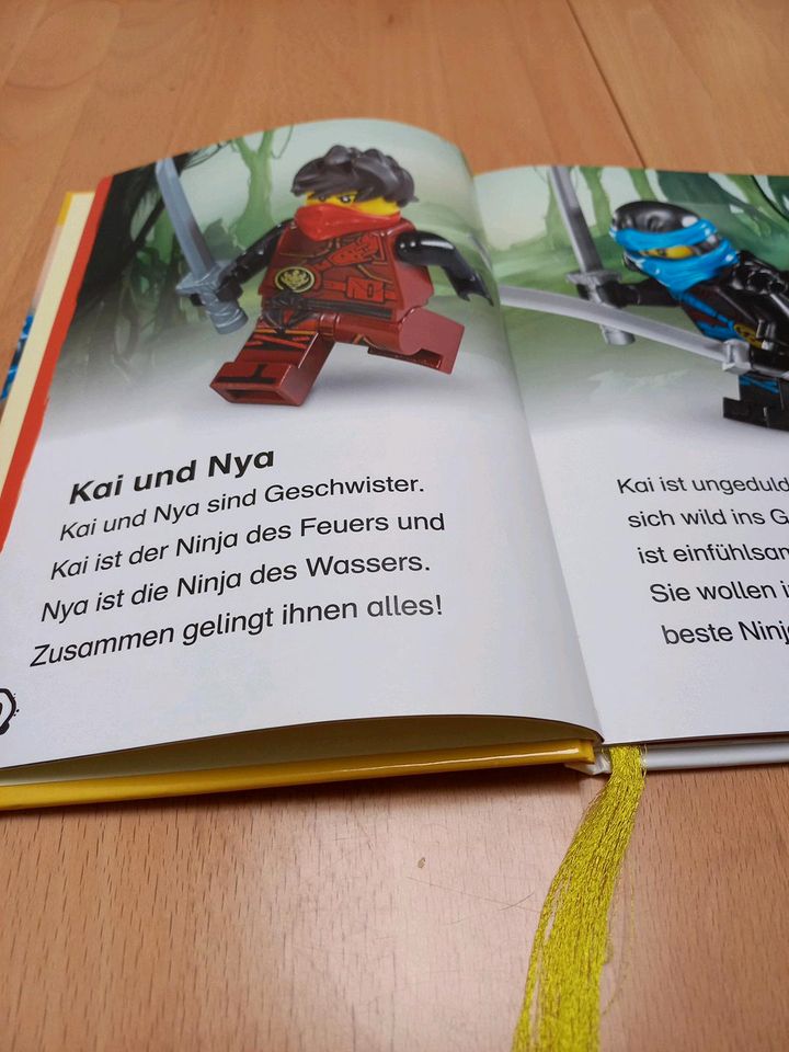 Kinderbuch Lego Ninjago Coole Ninja-Abenteuer in Langenfeld