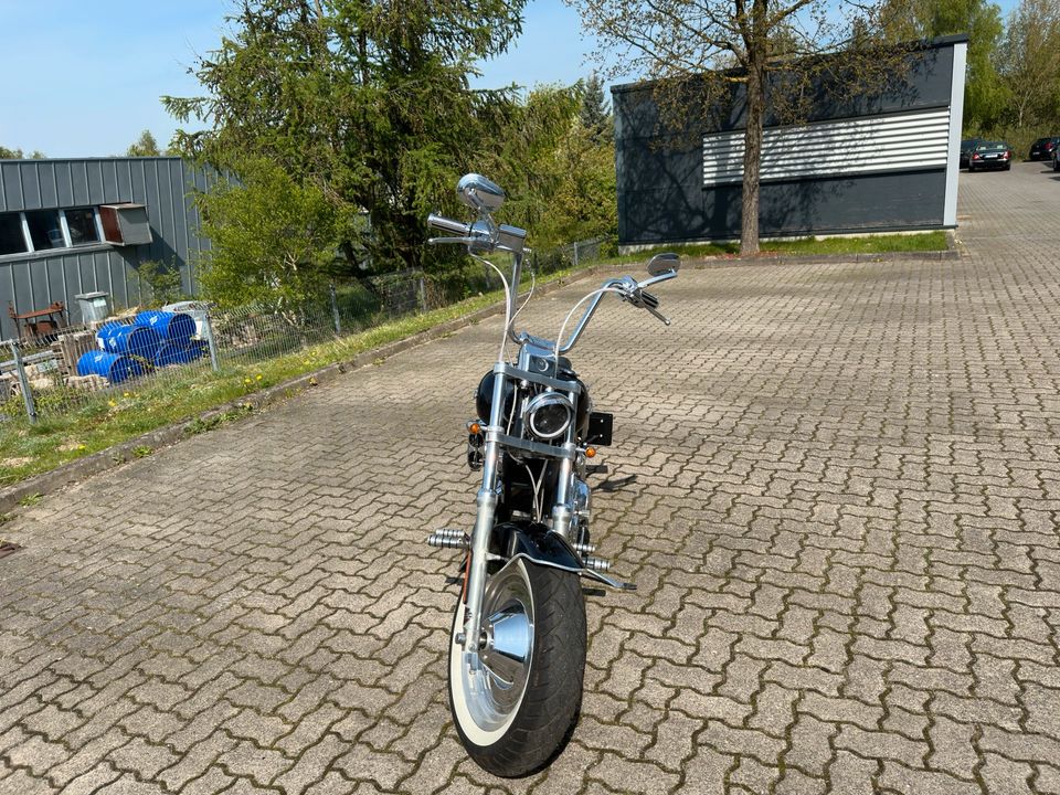 Harley Davidson Sportster 883 Peace Office Spezial Edition in Selmsdorf