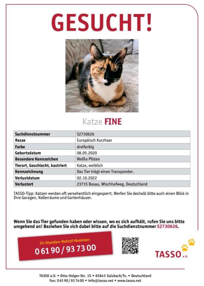 Seit 02.10.22 Katze Fine vermisst in Glasau