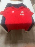 1.Fcköln Original T-Shirt / 10€VB Nordrhein-Westfalen - Hürth Vorschau