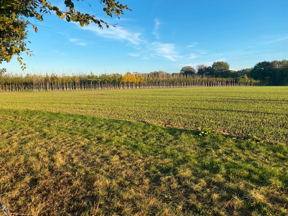 Landwirtschaftlicher Betrieb/Gartenbaubetrieb mit vielfältigen Nutzungsmöglichkeiten in Frechen bei Köln in Frechen