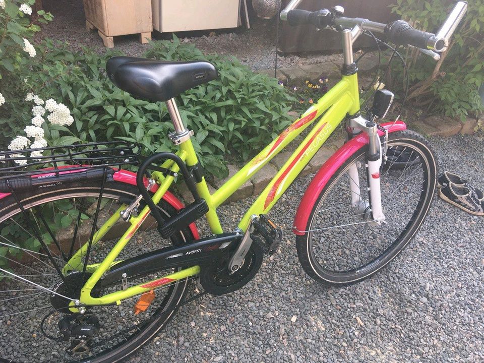 Kinder Fahrrad Mountainbike Mädchen 26 Zoll PEGASUS rosa, grün in Neukirchen/Pleisse