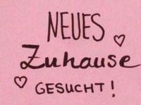 Haus / Wohnung gesucht... Niedersachsen - Cadenberge Vorschau