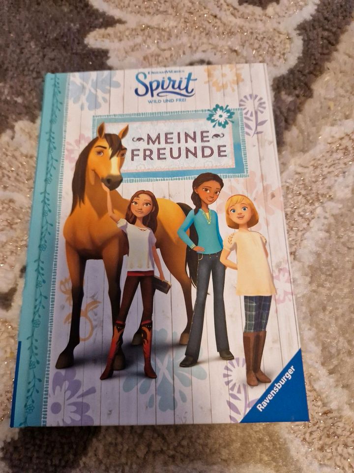 Spirit  Freundebuch in Freinsheim