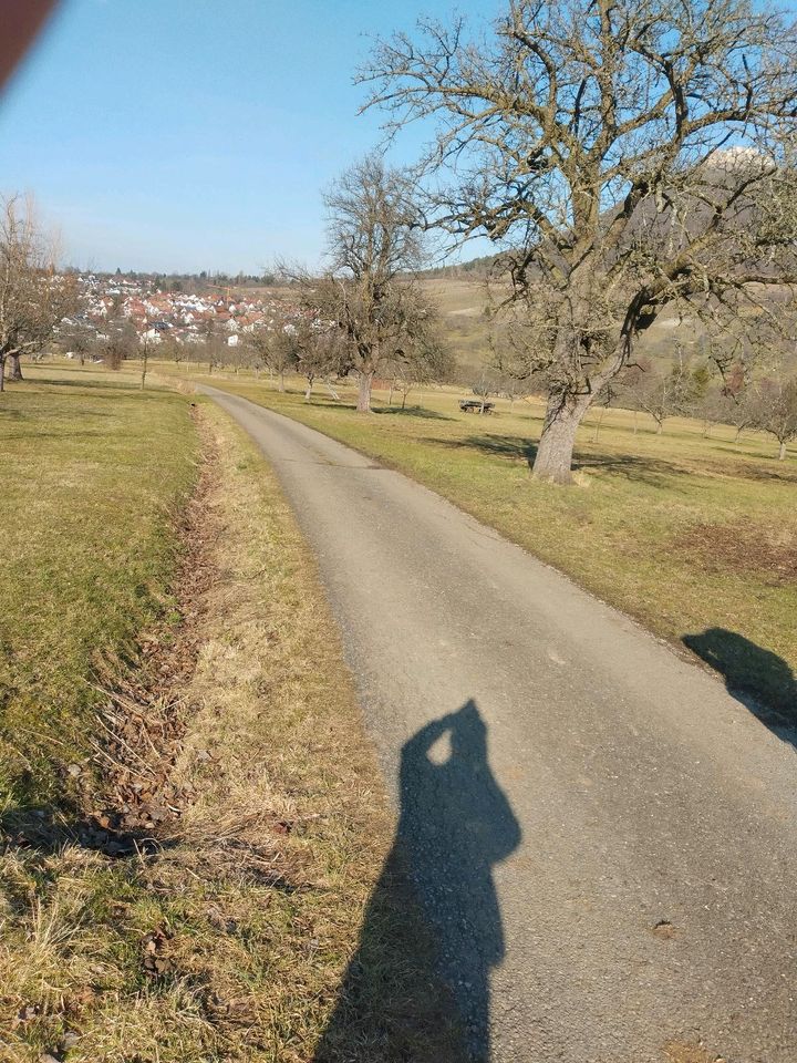 57+ Wiese Garten Pachten Neckarweihingen, Immobilien in