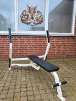 CYBEX BENCH PRESS INCLINE BANKDRÜCKER GYM BÄNKE KRAFTGERÄT 80 Nordrhein-Westfalen - Senden Vorschau