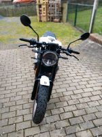 Husqvarna Vitpilen 401 Thüringen - Triptis Vorschau