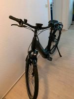 Pegasus E-Bike Pedelec Nagelneu! 28Zoll Rahmen 50 Schleswig-Holstein - Hohenwestedt Vorschau