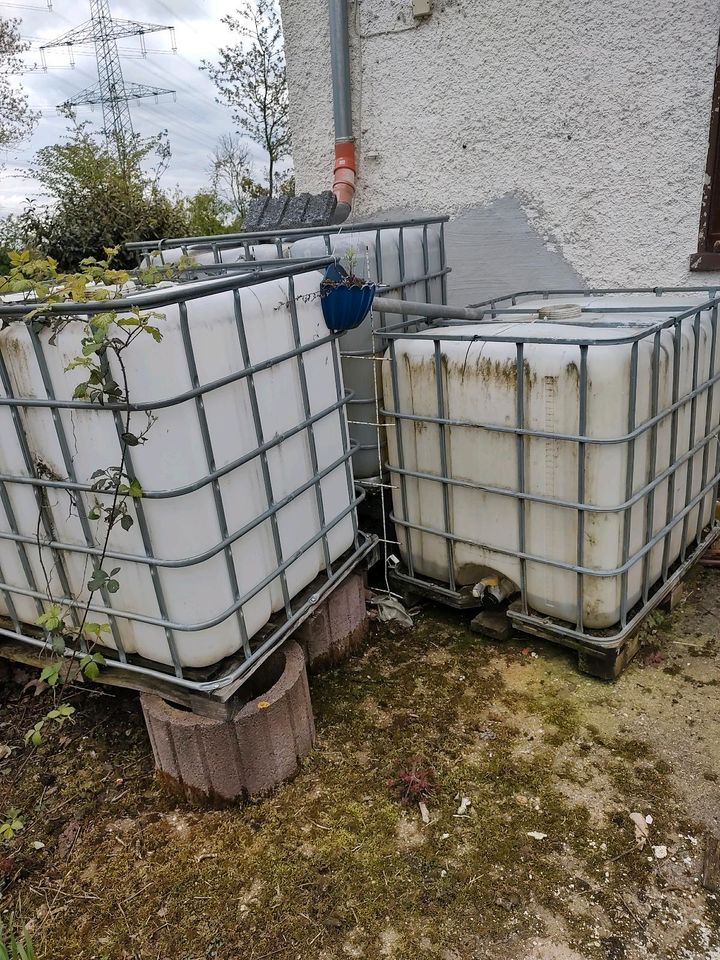 IBC Behälter Regenwassertonne in Bad Breisig 