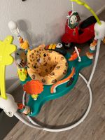 Fisher-Price Hüpf-Leopard Jumperoo Berlin - Hohenschönhausen Vorschau