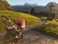 Bugaboo Cameleon 3 schwarz rosa Schleswig-Holstein - Flensburg Vorschau