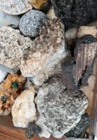 Versteinerungen u. div. Steine aus Nachlass Schleswig-Holstein - Trittau Vorschau