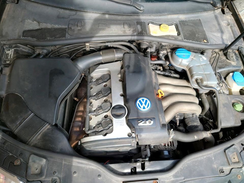 VW Passat 3BG in Moritzburg