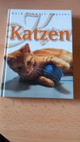 Katzen   Cats-ein Weltervolk Sachsen-Anhalt - Lutherstadt Wittenberg Vorschau