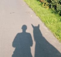 Wiese für Pferdehaltung gesucht Nordrhein-Westfalen - Krefeld Vorschau
