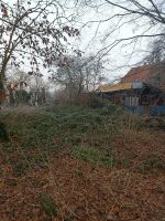 Baggerarbeiten Baumpflege Wurzel Entfernung Wildwuchs Garten Nordrhein-Westfalen - Goch Vorschau