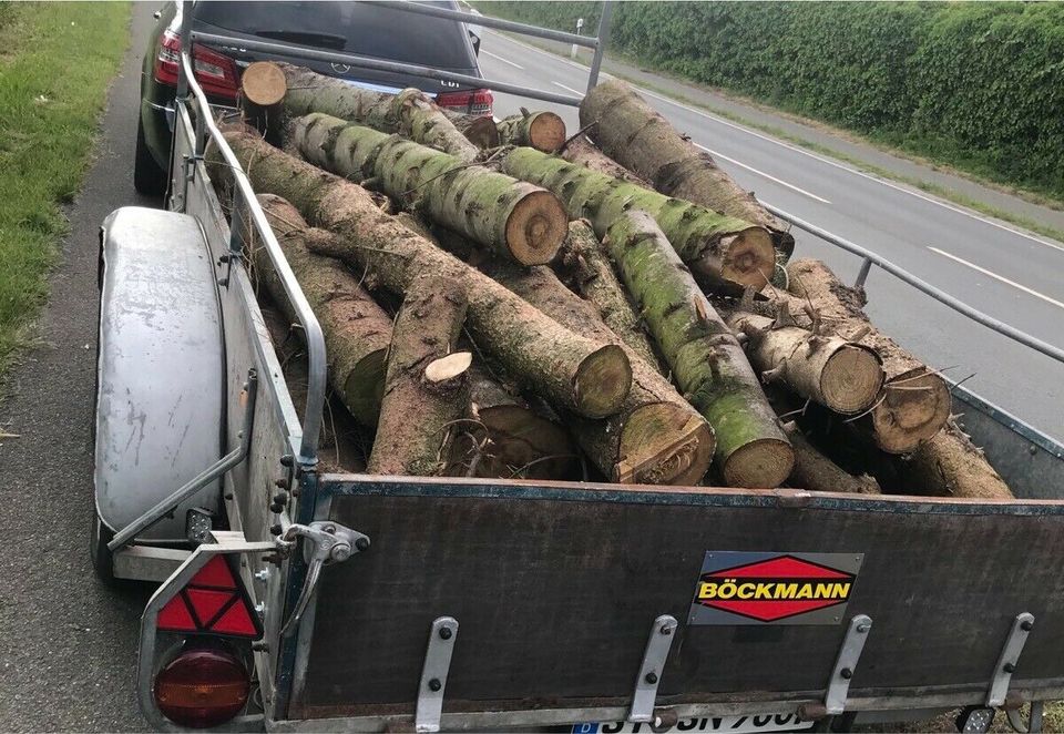 Brennholz Holz Feuerholz Kaminholz in Steinfurt