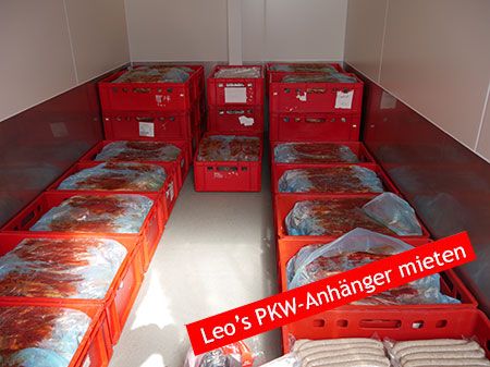 Kühlzelle mieten mehrkammer Kühlsystem Kombikühler Cateringkühler in Halberstadt