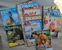 7x Cavallo Zeitschrift Pferde und Reiter-Magazin Niedersachsen - Großheide Vorschau