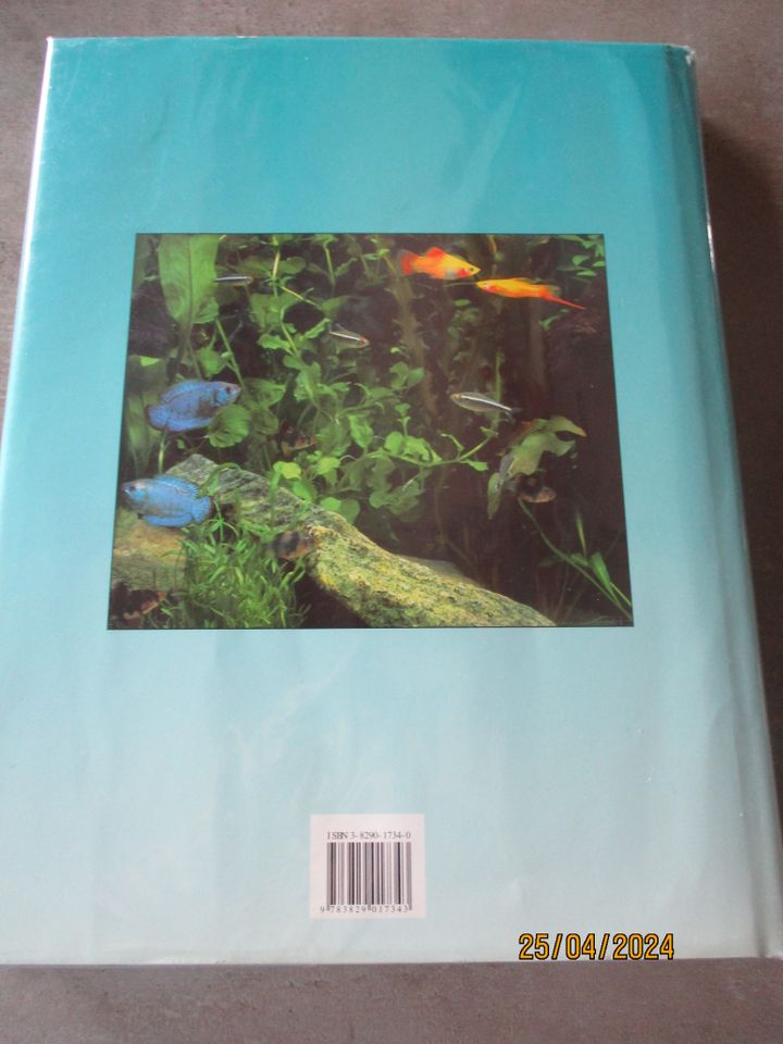 Buch "Der große Aquarienführer" v.Könemann,Neu in Kell am See