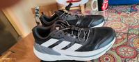 Adidas Adistar gr 43,1/3 Top Rheinland-Pfalz - Hargesheim Vorschau