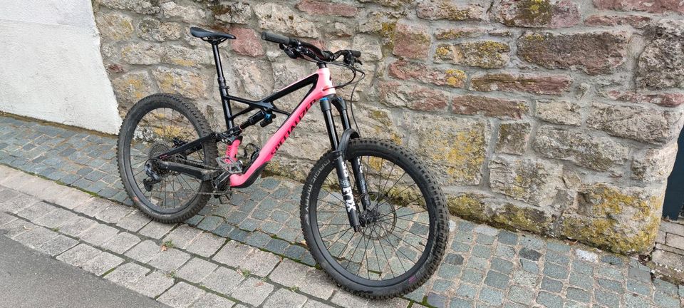 Specialized Enduro Gr. L in Erlabrunn