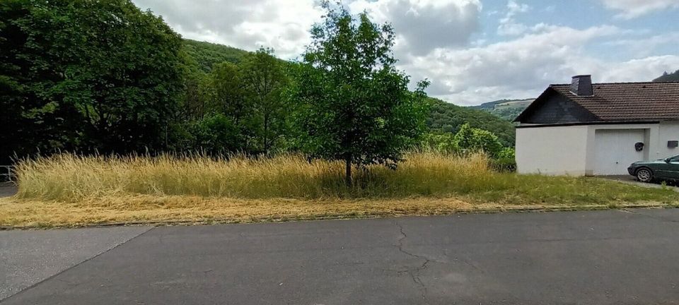 Arbeiten in Luxemburg und wohnen in der schönen Eifel! in Neuerburg Eifel