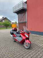 Motorroller Suzuki AN650 Burgmann Nordrhein-Westfalen - Drensteinfurt Vorschau