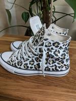 Damen Schuhe Gr 38 Nordrhein-Westfalen - Gelsenkirchen Vorschau