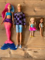 Barbie Puppen Sammlung Ken Kinder Sachsen - Naunhof Vorschau