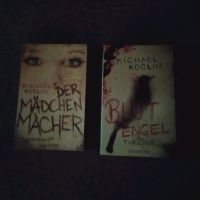 2 Thriller von Michael Koglin, zusammen für Schleswig-Holstein - Besdorf Vorschau