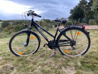 Prince Street Glider Alu, Damenfahrrad Nordrhein-Westfalen - Bad Münstereifel Vorschau