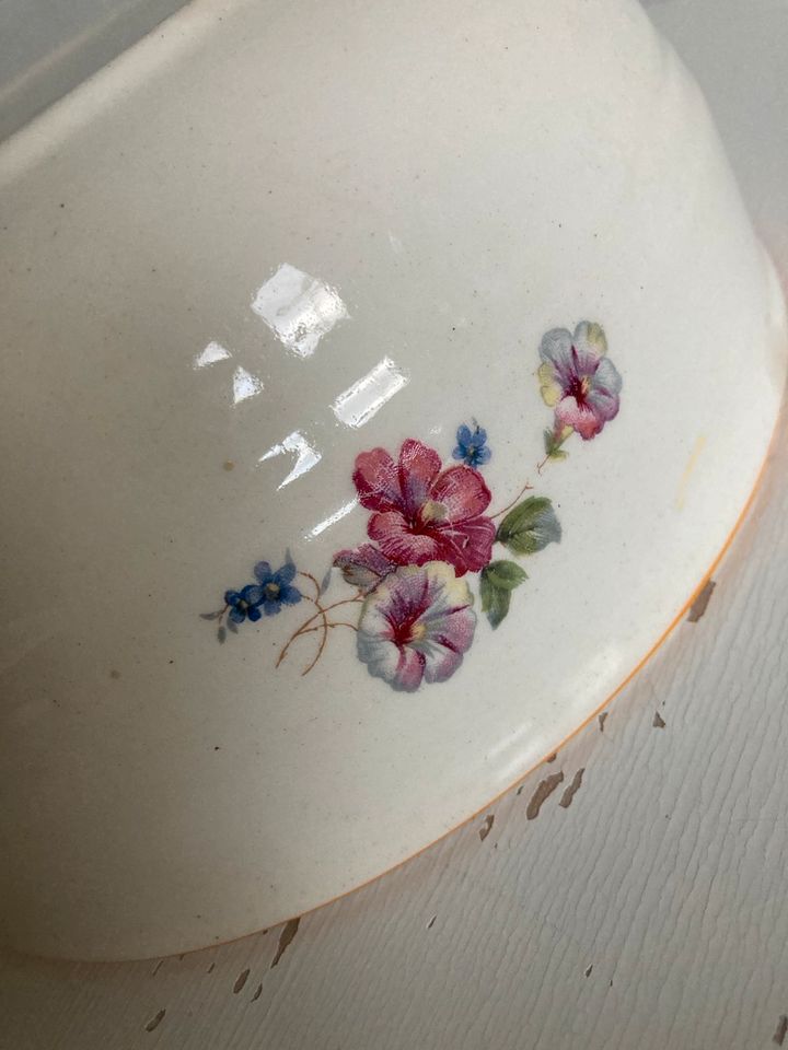 Antike Porzellan Schale Schüssel Blumen in Essen