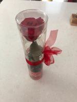 Künstliche Rose original verpackt Baden-Württemberg - Waldachtal Vorschau
