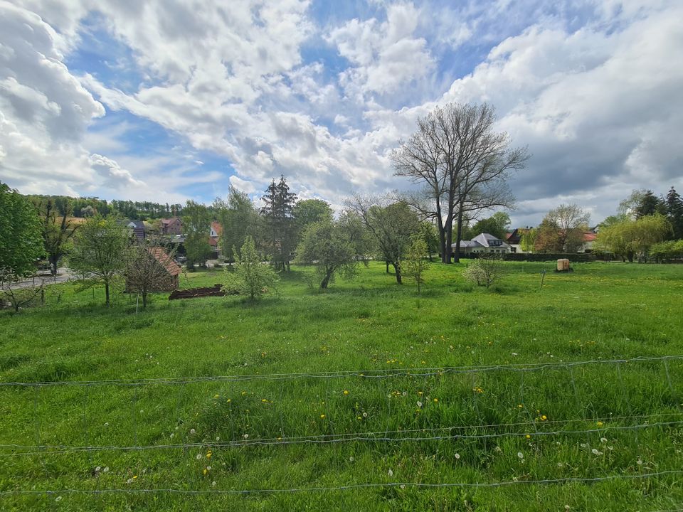 Bauland mit großem Entwicklungspotenzial in Heilbad Heiligenstadt