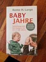 Babyjahre Remo Lago Niedersachsen - Wedemark Vorschau