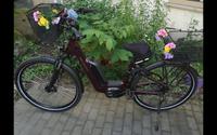 KALKHOFF E-BIKE Image Advance -- keine 270 km gefahren !!! Bayern - Würzburg Vorschau