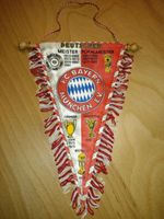 F.C.Bayern München e.V. Wimpel Niedersachsen - Hameln Vorschau