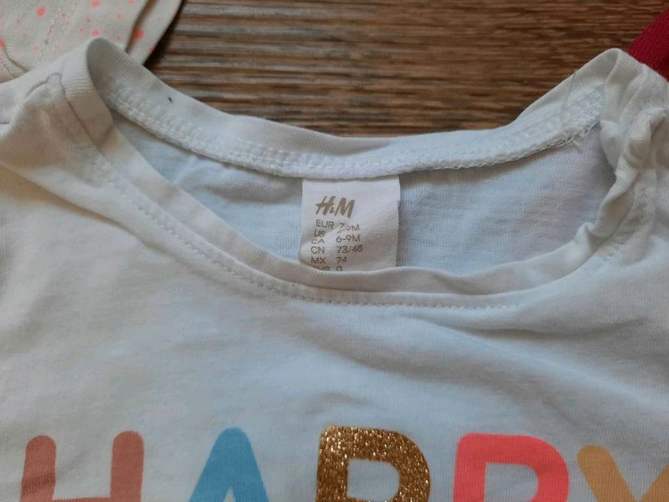 T-Shirts, T-Shirt, H&M, Trigema in Bedburg-Hau