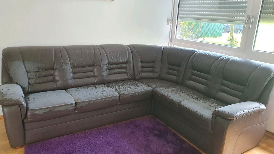 Sofa für 6 Personen in Essen