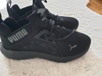 Puma Softride Enzo Laufschuhe gr. 40,5 Brandenburg - Ludwigsfelde Vorschau