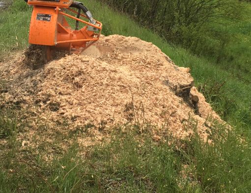 Wurzelstockfräsen Stubbenfräsen Baumstumpf enfernen Fräsen Bagger in Bonndorf