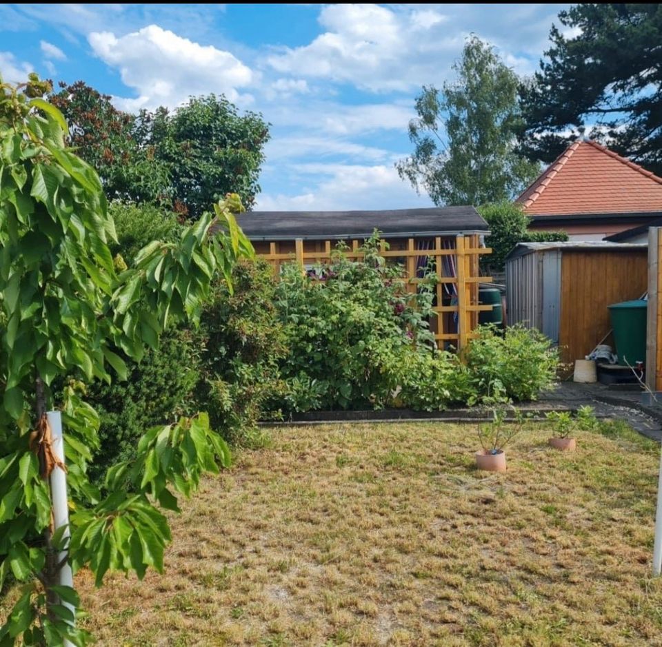 Gepflegter Kleingarten in Borna Garten mit Laube Strom in Regis-Breitingen