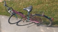 Damenfahrrad 28" Zoll Bayern - Konradsreuth Vorschau