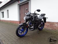 NEUFAHRZEUG Suzuki GSX-S 125 2023 Naked Bike Werksgarantie Bad Doberan - Landkreis - Bad Doberan Vorschau