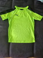 Sportshirt von Puma (140) Hessen - Maintal Vorschau