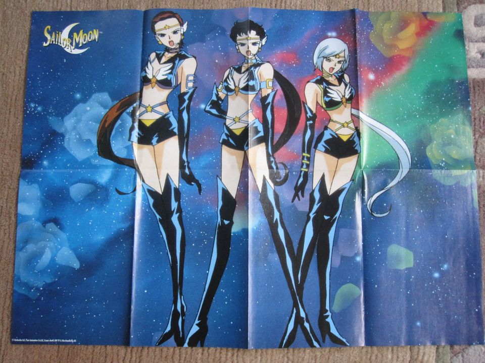 Sailor Moon Poster-Sammlung in Rehlingen-Siersburg