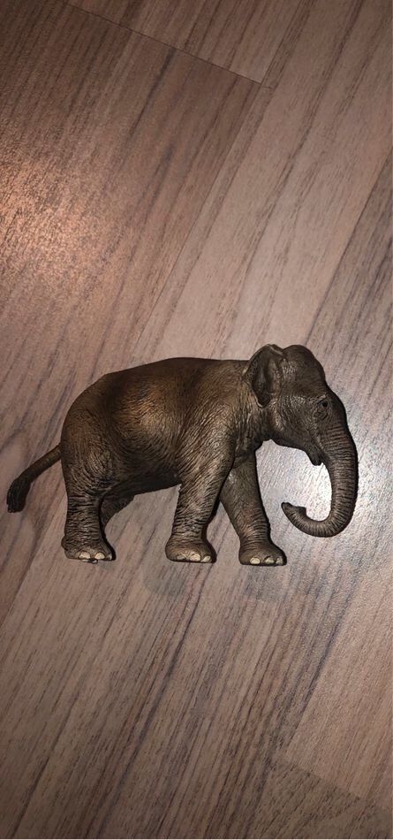 Schleich Asiatischer Elefant in Sachsenhagen