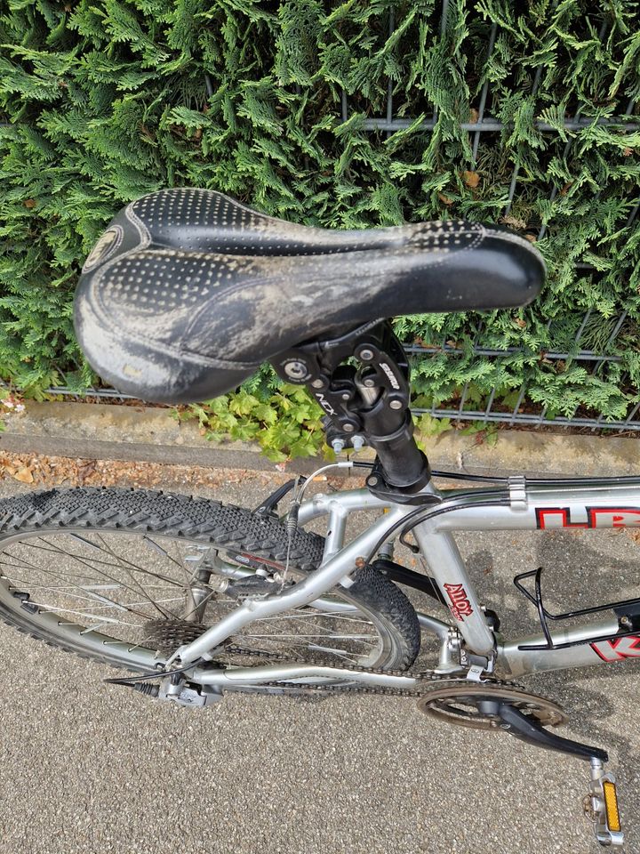 Damen - MTB Koonga silber, 26 Zoll in München