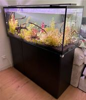 Aquarium Eheim 240L mit Unterschrank Nordrhein-Westfalen - Korschenbroich Vorschau